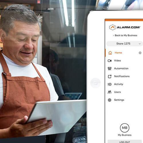 professional alarm system